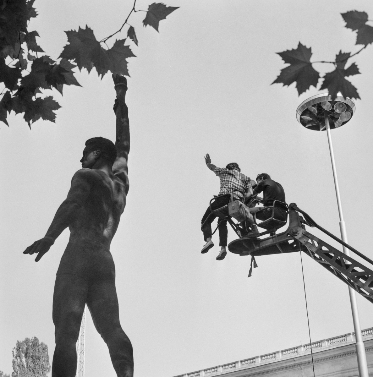 <p>&quot;Таралежите се раждат без бодли&quot;. Фотограф: Жана Карайорданова. Национален стадион &quot;Васил Левски&quot;.</p>