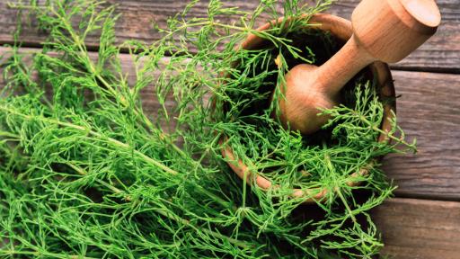  <p><strong>Ето </strong>я <strong>билката</strong>, която се грижи за <strong>красотата </strong>ви</p> 