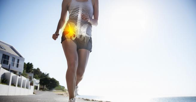 Свят Костите се оказват ключови за здравето ни Костите произвеждат