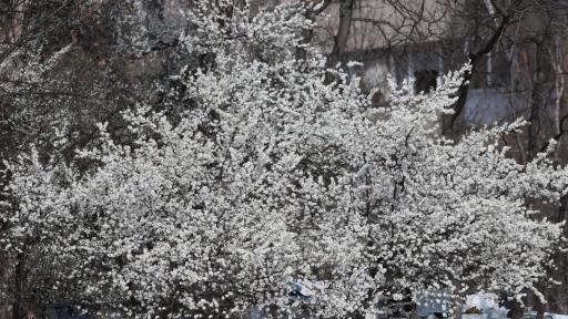  Времето през днешния ден - пролетно, най-вече слънчево 