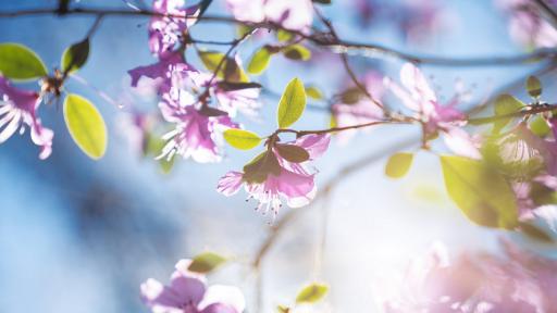  Топло време за май, какви температури ни чакат? 