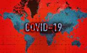  COVID-19 по света: Над 430 хиляди души са оздравели, смъртните случаи понижават 