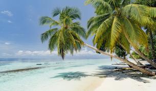 Изоставен остров на Малдивите приютява хора под карантина