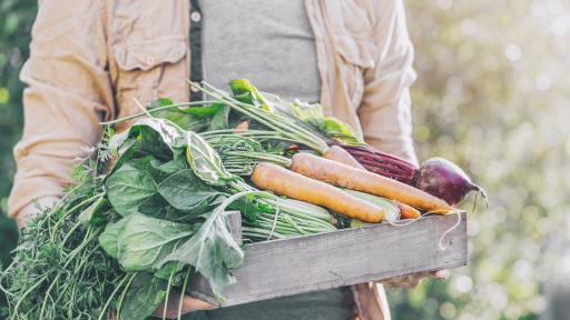  Скандал с служащите, тръгнали към Германия 