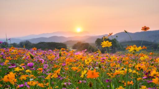  <p>И слънце, и сняг ни чакат тази седмица</p> 