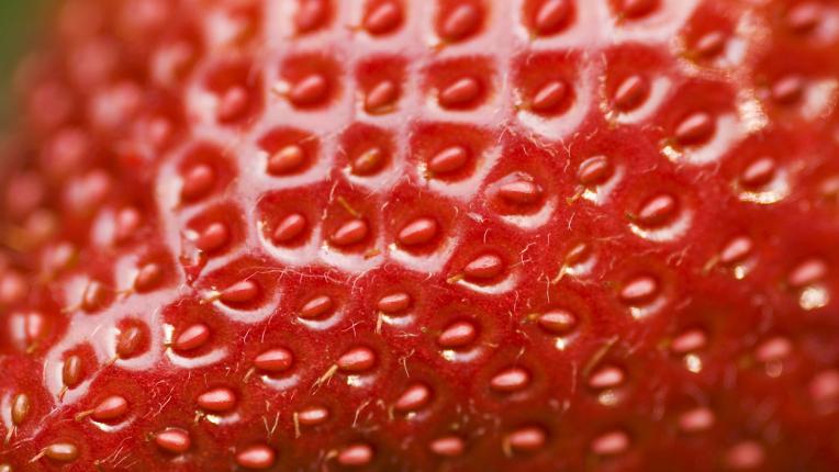 Как да съхраняваме ягоди за по-дълго