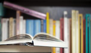 <p>Отменя се традиционния Коледен панаир на книгата</p>