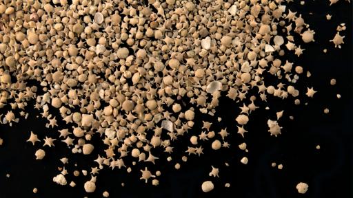  Промяна в океана, каквато не е имало от 10 хиляди години 