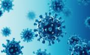  <p>Отново над 100 нови случая на коронавирус</p> 