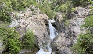  Откриха тялото на изчезналия при водопада Сучурум юноша - България | Vesti.bg 