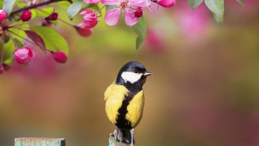  Какво време ни чака до края на седмицата? 
