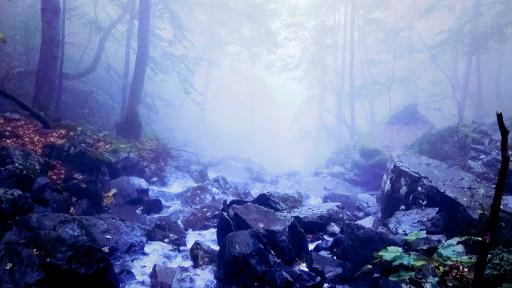  Вандали унищожиха нов мост в естествен парк 