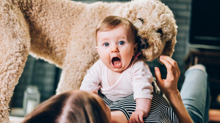 Бебето и домашният любимец: Как да им помогнете да се сближат
