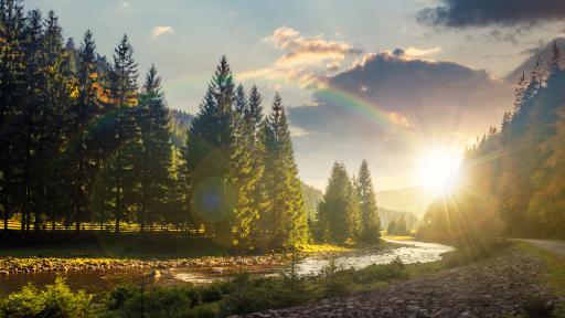  Опазването на околната среда: По-сложно е, в сравнение с наподобява! 