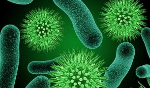 Новият щам на коронавируса в 8 държави в Европа