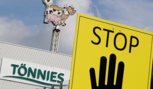 Свинщина. Насред Германия