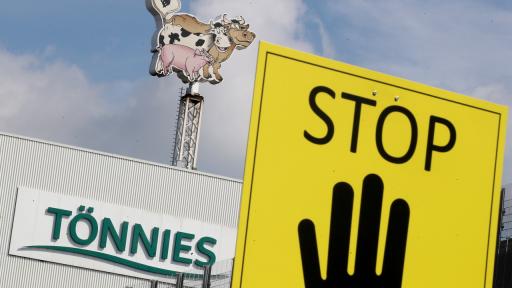  <p>Мухъл и воня: по какъв начин живеят източноевропейците в "Тьонис"</p> 