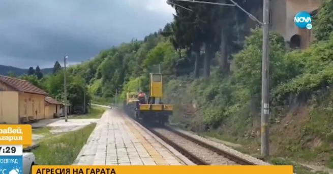 България Агресия Железничар нападна турист който снима влак Каква е