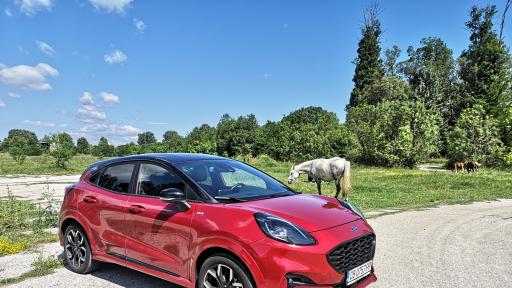  <p>Нов висш див звяр при компактните кросоувъри (тест драйв)</p> 