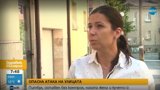  Питбул нахапа жена и кучето ѝ, какво ще последва? 