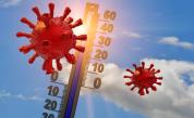  Вирусолог: Използвайте лятото, с цел да укрепите имунната си система 