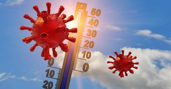 България Вирусолог: Използвайте лятото, за да укрепите имунната си система