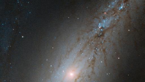  Галактиката NGC 7513 