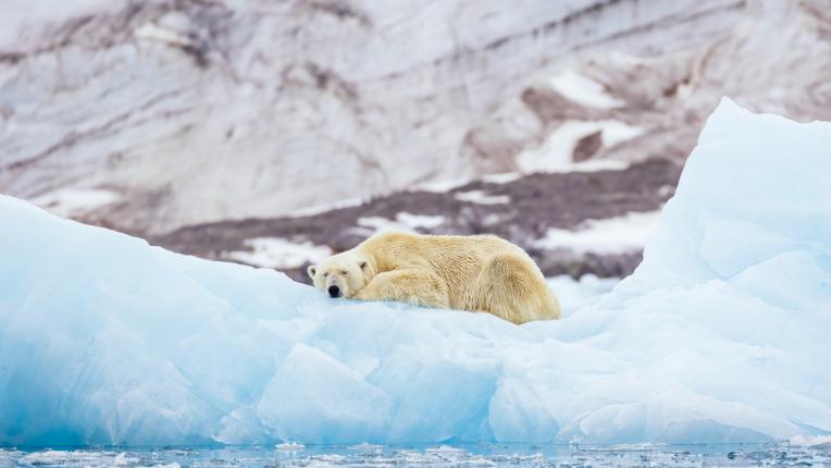  Дневен хороскоп за 20 декември, вторник 