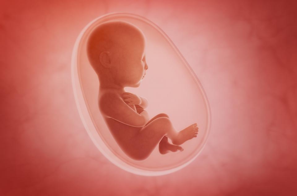 бебе бременна плацента