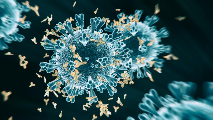Над 10 хил. са вече заразените с коронавирус у нас, рекордно увеличение по света