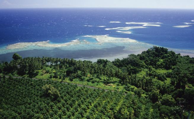  Нова Гвинея 