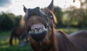 Снимката е илюстративна