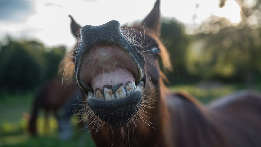 Снимката е илюстративна