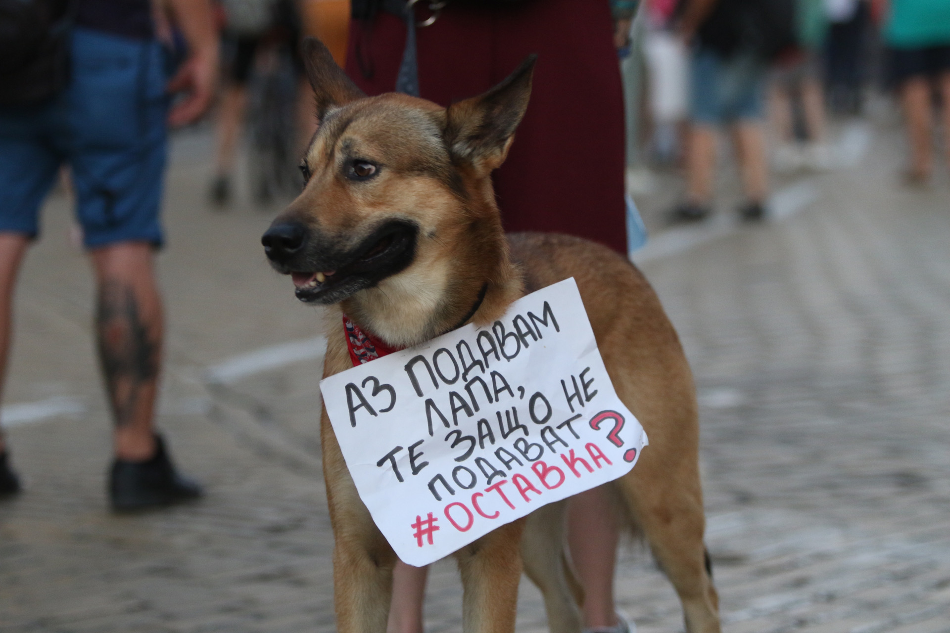 <p>Пореден ден на протест</p>