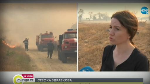  Спасиха от огъня евакуираното село в Хасковско 