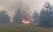  Пожарите в Хасковско са потушени 