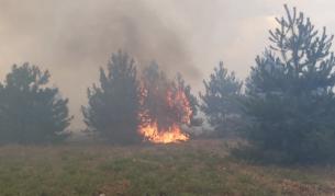 <p>Пожарите в Хасковско са потушени</p>