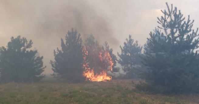 България И днес – екстремна опасност от пожари Внимавайте Метеоролозите