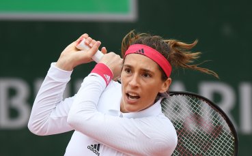 Германската тенисистка Андреа Петкович планира да прекрати професионалната си кариера