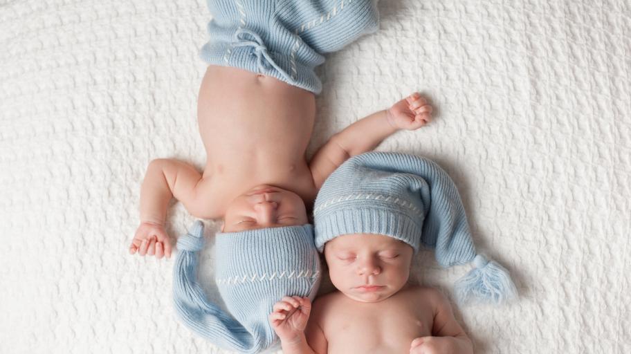 Идеални клонинги ли са еднояйчните близнаци?