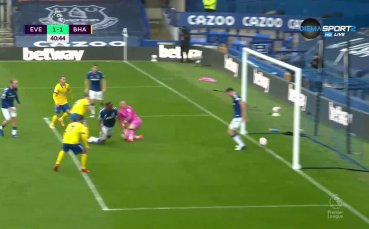 Брайтън успя да изравни на Евертън малко преди почивката на