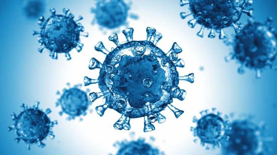 В кен от кола се събират коронавирусите, причиняващи КОВИД-19 за ден по целия свят