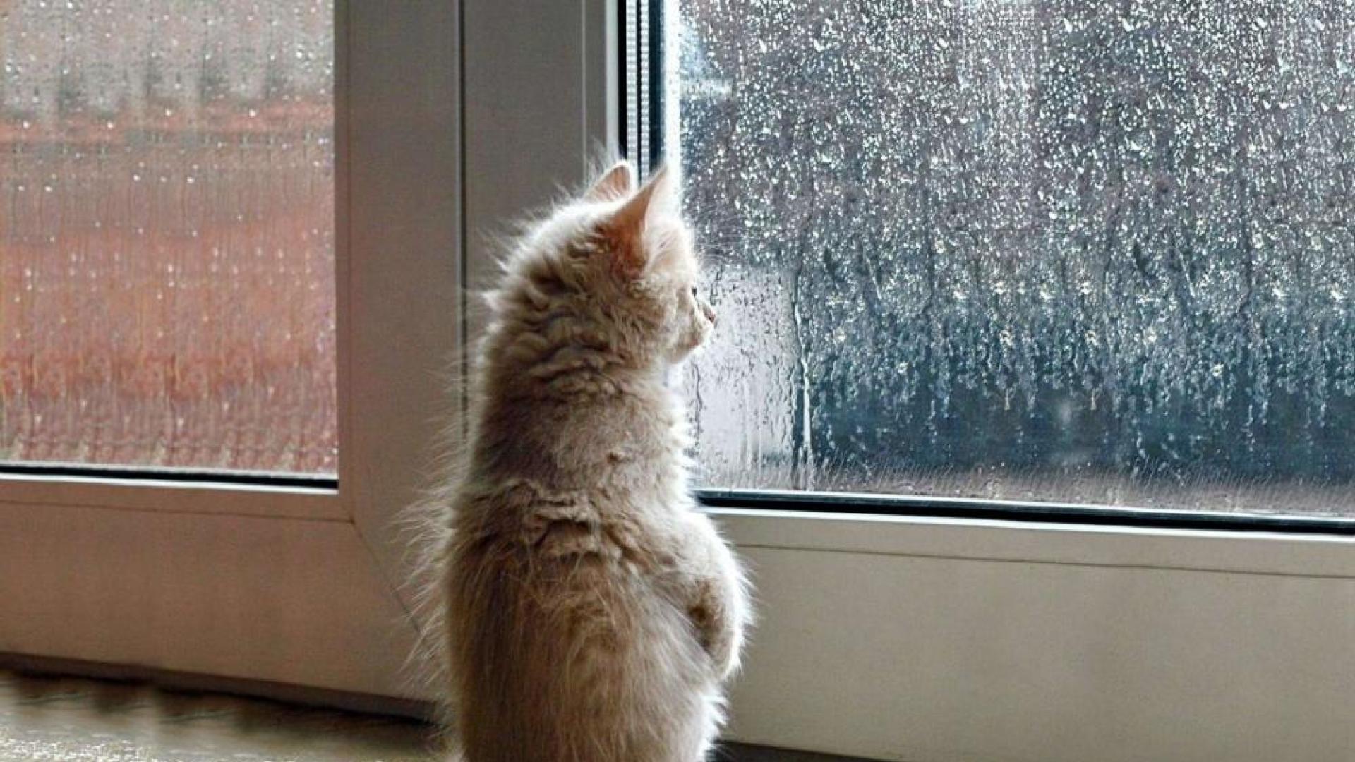 Днес над Западна и Централна България облачността ще бъде по често