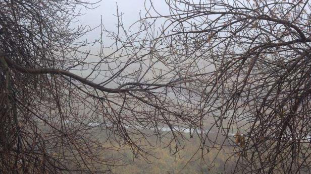 Валежи в неделя  в Източна България