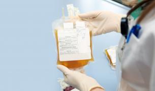 <p>Кръвна плазма на черния пазар &ndash; вижте схемата</p>