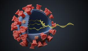 <p>COVID-19: Нова мутация, рискът от смърт&nbsp;до 11 пъти по-висок</p>