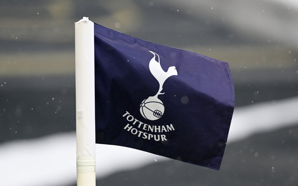 Tottenham Hotspur v West Bromwich Albion - Premier League