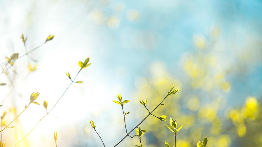 Време за разходка! Радваме се на слънчева събота с пролетни температури