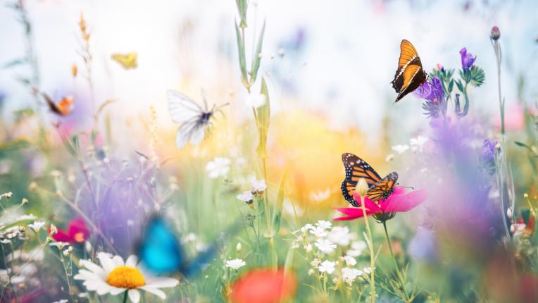  Кое ваше предпочитание ще се сбъдне през АПРИЛ 