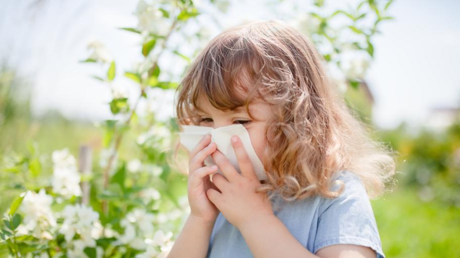 Изменението на климата може да увеличи честотата на алергиите и астмата при децата